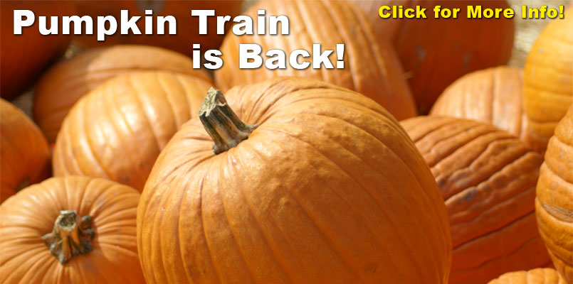 Pumpkin Train - Find Your Perfect Pumpkin